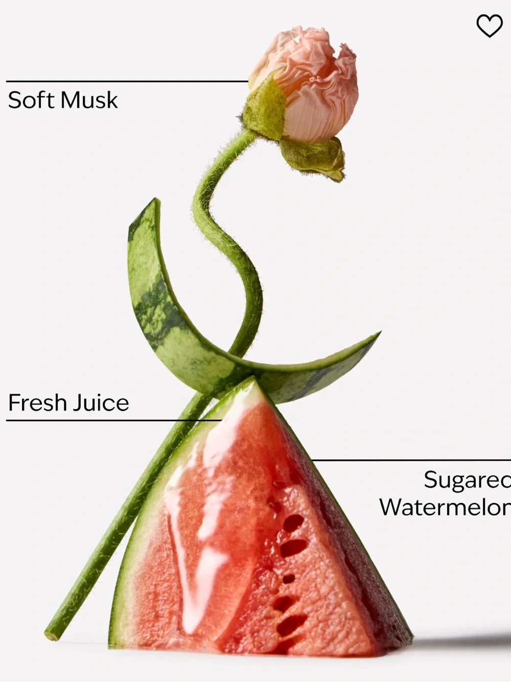 NEW! 9-Pc Bath & Body Works Fruit Fusion WATERMELON WHIRL Body Care Collection